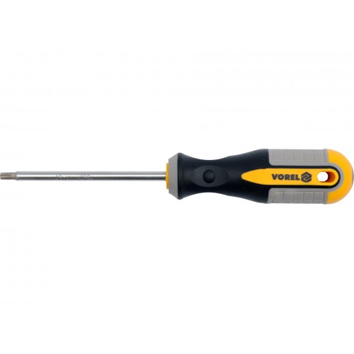 SCREWDRIVER TORX T27X100 MM CRV